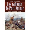 Los cañones de Port Arthur